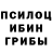 Псилоцибиновые грибы Psilocybe Shaomao Xu