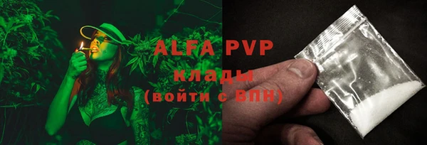 шишки Абаза