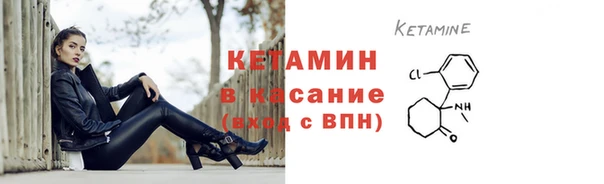 шишки Абаза