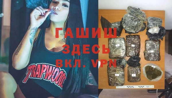шишки Абаза
