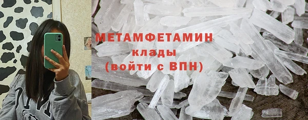 шишки Абаза