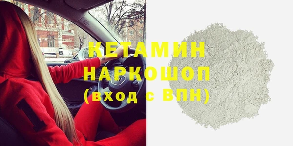 шишки Абаза