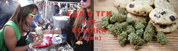 шишки Абаза